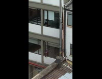 Woman black dress make tiktok apartment window