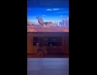 Dog Growls at Scrat the Squirrel in Television