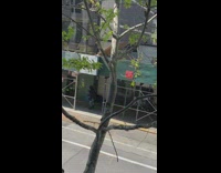 Black jacket guy blue cart dances street 