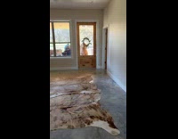 Brown cow waiting at house door 