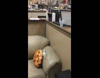 NSFW Samurai Sword Flies Off Handle In Office
