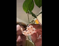 Girl reacting to pink flowers in room 