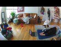 Dog copies owner yoga stretch furbo 
