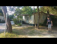 Guy runs backflips off tree trunk