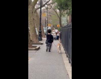 Small man walk his dog on street