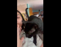 Cat invading womans personal space