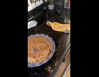 Collab Clips MPUGC - Cat sitting in pie bowl