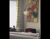 Collab KaleSaladIG - Girl plays fetch with lazy dogs