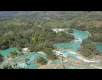 Forest river top bluish green color sky alike