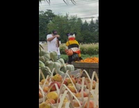 Woman in a striped hoodie with mouse ears poses near fruits and vegetables