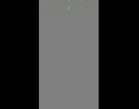 Collab winy - Grey Squirrel Tries to Carry Flowers into its Hole 