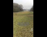 Collab BitchIG2 - Girl running through open field grass