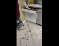 Bird throwing kitchen utensils on the floor