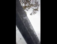 Collab VIBES - Woman falls off from golf cart