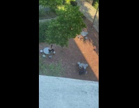 Black pants girl sits round metal table 