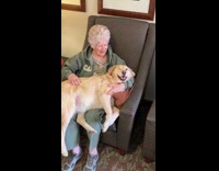 Dog volunteers senior center cuddles with grandma