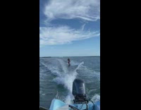 Blue shorts guy throws red can wakeboard 