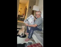 Man reads the newspaper and cat swats it 
