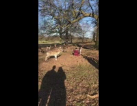 Girl red jacket selfie with deer park