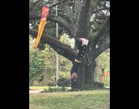 Inflatable dancing pilgrim at the tree park