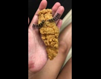 Chicken tender with eye lashes on it