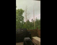 Slow motion lightning strike balcony tree overcast