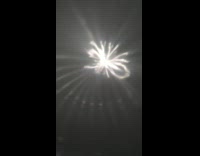 Woman amused to see spider shaped light reflection