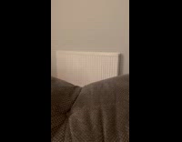 Cat reaches toy on tent falls down