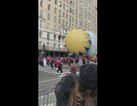 Nutcracker man strikes back