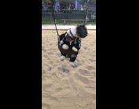 Dog first time to ride on swing