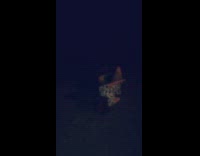 guy jumps on chair and falls down 