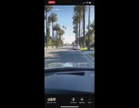Girls stand in busy road for photos