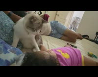 Cat on bed looks at baby girl 