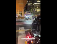 Man drive motorcycle dog ride in backpack