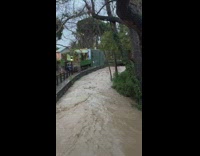 Group copying stick moving river water 