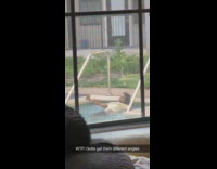 Woman taking thirst trap selfies in pool