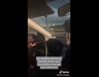 Woman in purple shirt honks at truck at every red light