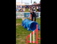 Woman guide jumpy dog through obstacle course