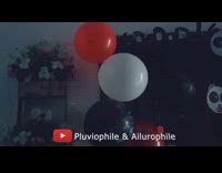 White cat birthday party red white balloons