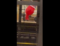 Person in Mascot Stares Blankly at Man