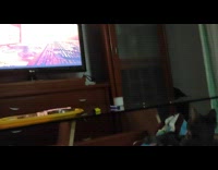 Brown cat watches television show striped blanket 