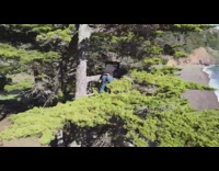 Guy work on tree with laptop bridge