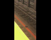Leftover garbage thrown on subway train tracks