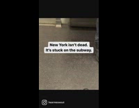 conductor announces train delay to passengers 