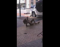 Leopard print bathing suit girl light dome 