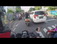 Large white dog sunglasses sits motorcycle guy   
