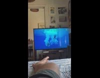 Collab ClipsIG - Guy critiques olympic divers while laying in bed 