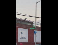 Pair of shoes hang on the cable along the street