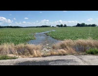 Whirlpool form in water of flooded fields