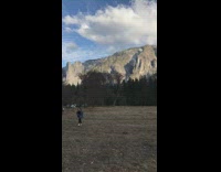 Dead grass field photoshoot 